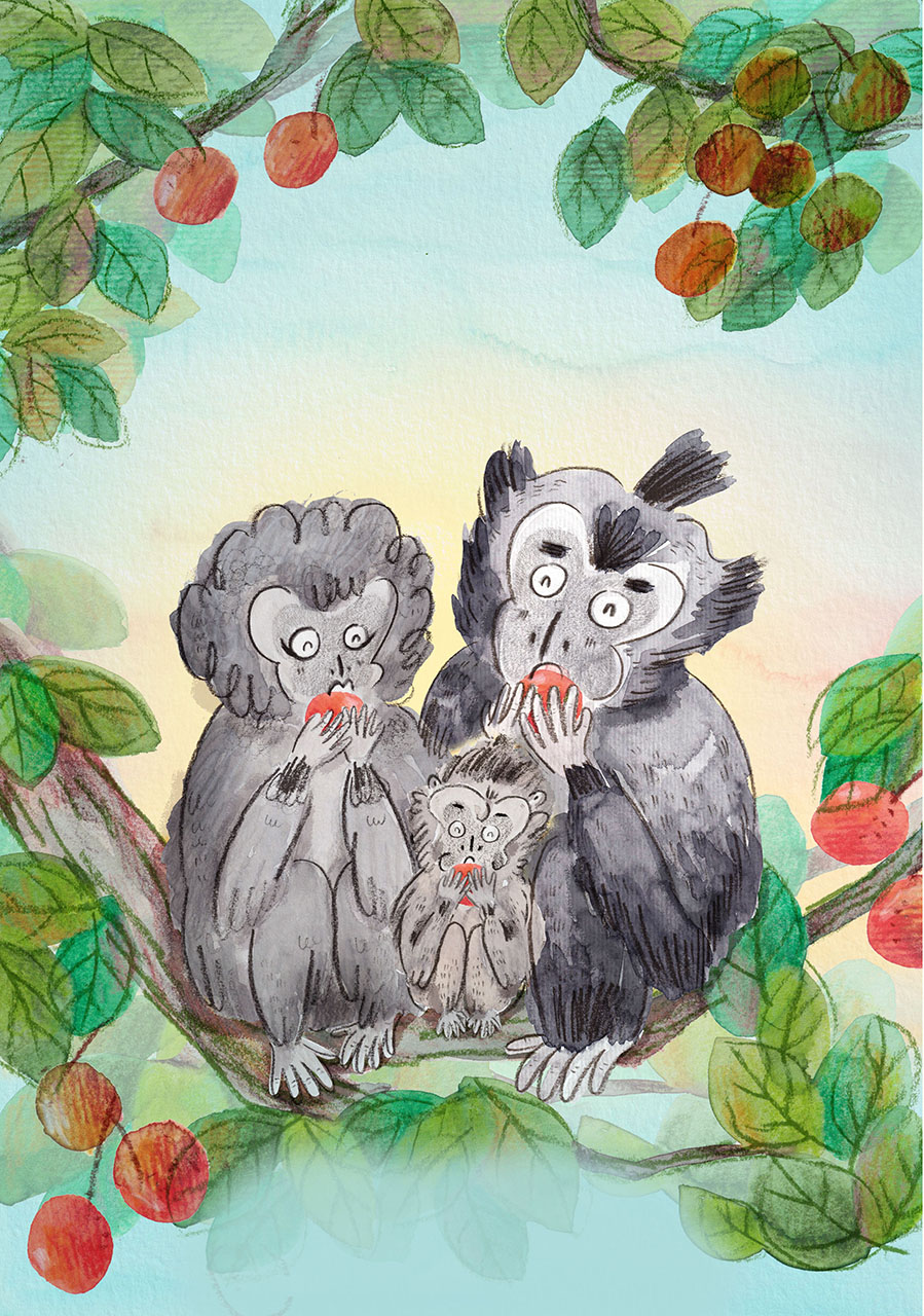 Yoyo and his family happily living on a rainforest tree.